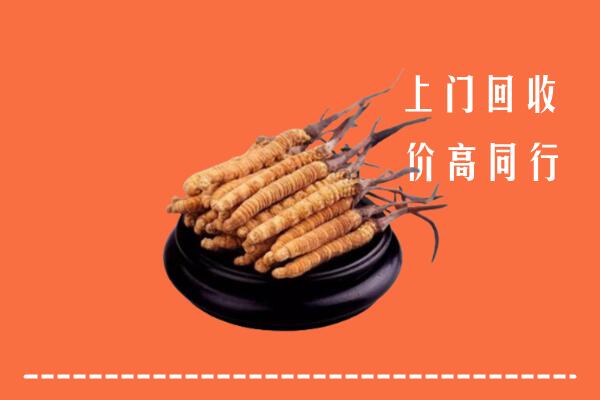 赣州回收散虫草